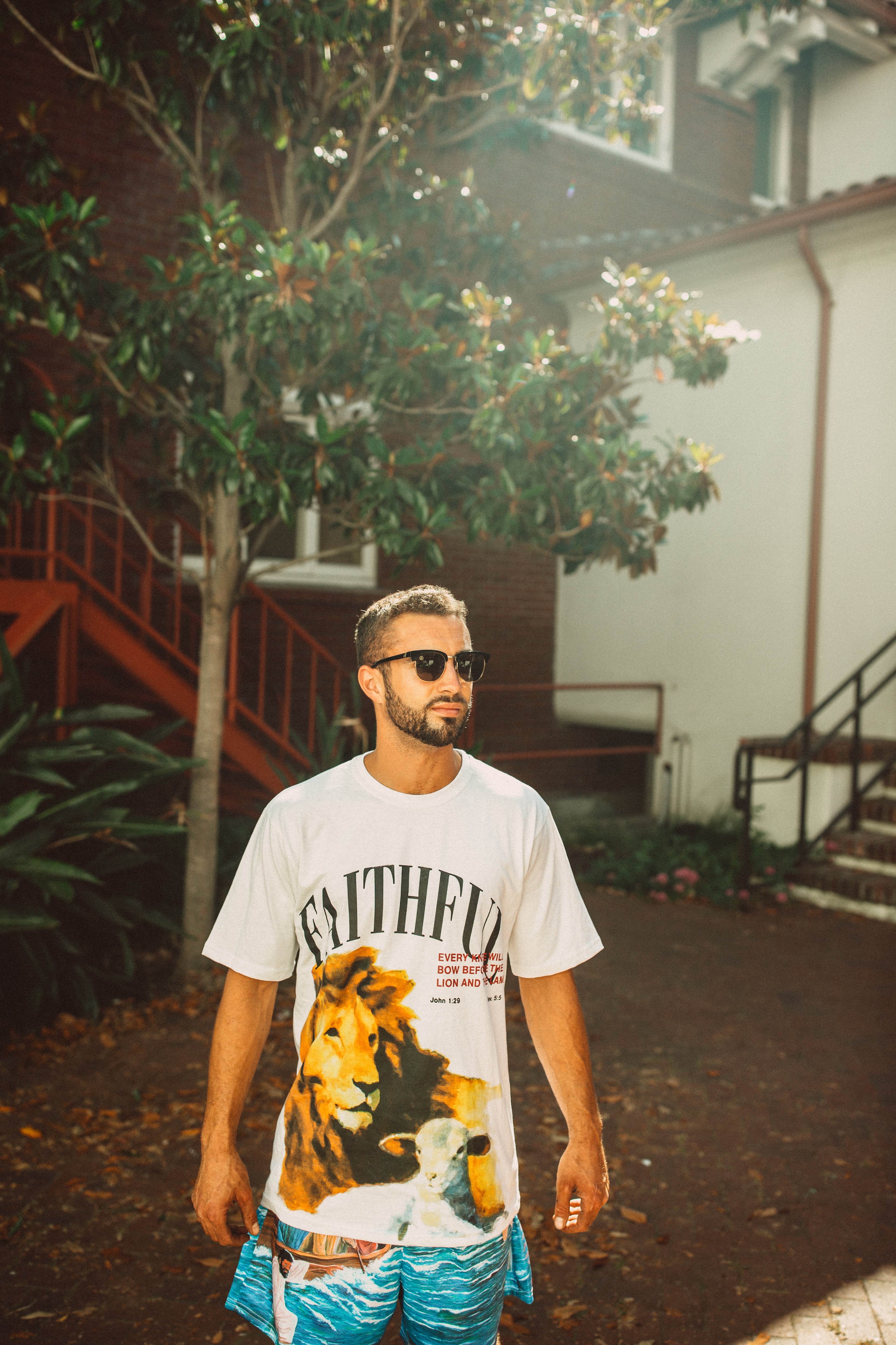 Lion and the Lamb tee