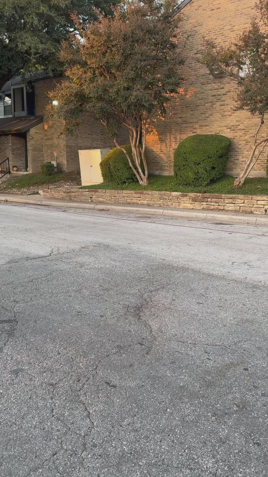 COG Jersey 2.0 - “Mint to Be” (pre-order)